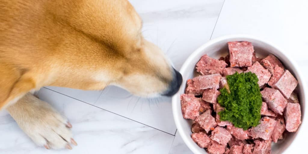 raw essentials dog food